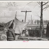Evicted sharecroppers along Highway 60, New Madrid County, Missouri