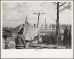 Evicted sharecroppers along Highway 60, New Madrid County, Missouri