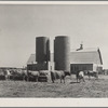 Terra Blanca Dairy Farms. Randall County, Texas