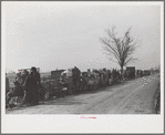 Evicted sharecroppers along Highway 60, New Madrid County, Missouri