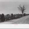 Evicted sharecroppers along Highway 60, New Madrid County, Missouri