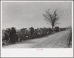 Evicted sharecroppers along Highway 60, New Madrid County, Missouri