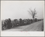 Evicted sharecroppers along Highway 60, New Madrid County, Missouri