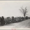 Evicted sharecroppers along Highway 60, New Madrid County, Missouri