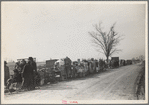 Evicted sharecroppers along Highway 60, New Madrid County, Missouri