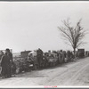 Evicted sharecroppers along Highway 60, New Madrid County, Missouri