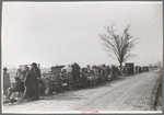 Evicted sharecroppers along Highway 60, New Madrid County, Missouri