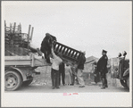 State highway officials moving evicted sharecroppers away from roadside to area between the levee and the Mississippi River, New Madrid County, Missouri