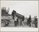 State highway officials moving evicted sharecroppers away from roadside to area between the levee and the Mississippi River, New Madrid County, Missouri