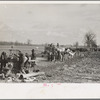 State highway officials moving sharecroppers away from roadside to area between the levee and the Mississippi River, New Madrid County, Missouri