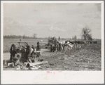 State highway officials moving sharecroppers away from roadside to area between the levee and the Mississippi River, New Madrid County, Missouri