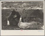 Boy hunting for coal on slack pile, Steritz [i.e. Stiritz], Illinois