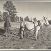 Indian on the Mescalero Apache Reservation, New Mexico