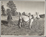 Indian on the Mescalero Apache Reservation, New Mexico