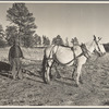 Indian on the Mescalero Apache Reservation, New Mexico