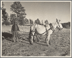 Indian on the Mescalero Apache Reservation, New Mexico