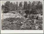 Cut-over land abandoned by homesteaders. Pine Ridge project, Dawes County, Nebraska