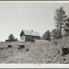 Improper use of forest land. A homestead surrounded by cut-over land. Pine Ridge land use project, Dawes County, Nebraska