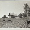 Improper use of forest land. A homestead surrounded by cut-over land. Pine Ridge land use project, Dawes County, Nebraska