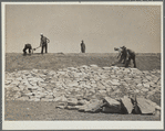 Working on the face of a stock water dam. Pine Ridge project, Sioux County [?], Nebraska