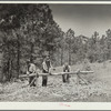 Peeling pine logs for fence posts. Dawes County, Nebraska
