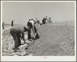 Laying stone on the face of a stock water dam. Pine Ridge land use project. Sioux County [?], Nebraska