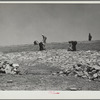 Facing a stock water dam. Sioux County [?], Nebraska. Pine Ridge land use project