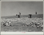 Facing a stock water dam. Sioux County [?], Nebraska. Pine Ridge land use project