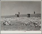 Facing a stock water dam. Sioux County, Nebraska. Pine Ridge land use project