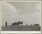 At work on a stock water dam. Pine Ridge land use project. Sioux County, Nebraska