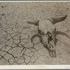 Dry and parched earth in the badlands of South Dakota