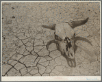 Dry and parched earth in the badlands of South Dakota