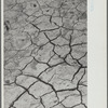 Dry and parched earth in the badlands of South Dakota [detail]
