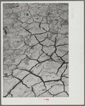 Dry and parched earth in the badlands of South Dakota [detail]