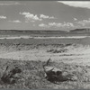 Overgrazed land. Pennington County, South Dakota