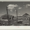A sod house homestead on submarginal land purchased by United States Resettlement Administration. Pennington County, South Dakota