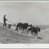 Stock water dam under construction. Pennington County, South Dakota