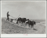 Stock water dam under construction. Pennington County, South Dakota