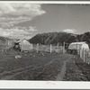 Farm near Jackson, Wyoming