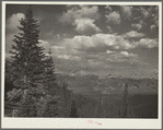 Teton National Forest, Wyoming