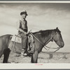 Sheep herder. Natrona County, Wyoming