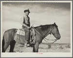 Sheep herder. Natrona County, Wyoming