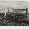 Natural spring cleaned and fenced on land use project. Converse County, Wyoming