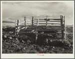 Natural spring cleaned and fenced on land use project. Converse County, Wyoming