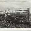 Natural spring cleaned and fenced on land use project. Converse County, Wyoming
