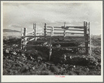 Natural spring cleaned and fenced on land use project. Converse County, Wyoming