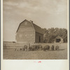 Barnyard scene on farm of rehabilitation client. Custer County, Nebraska