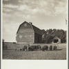 Barnyard scene on farm of rehabilitation client. Custer County, Nebraska