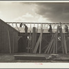 Carpenters at work on barracks for Resettlement Administration construction camp. Oneida County, Idaho