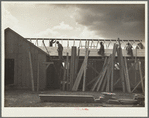 Carpenters at work on barracks for Resettlement Administration construction camp. Oneida County, Idaho